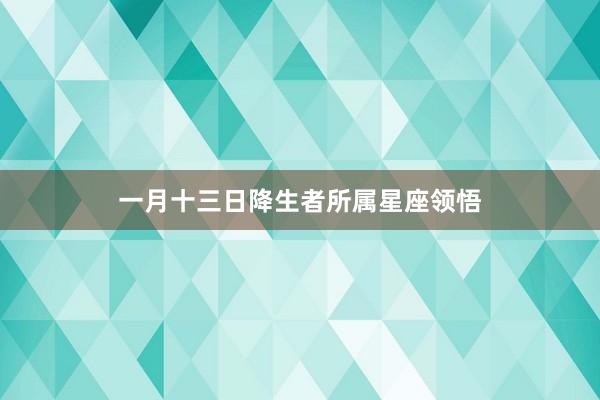 一月十三日降生者所属星座领悟